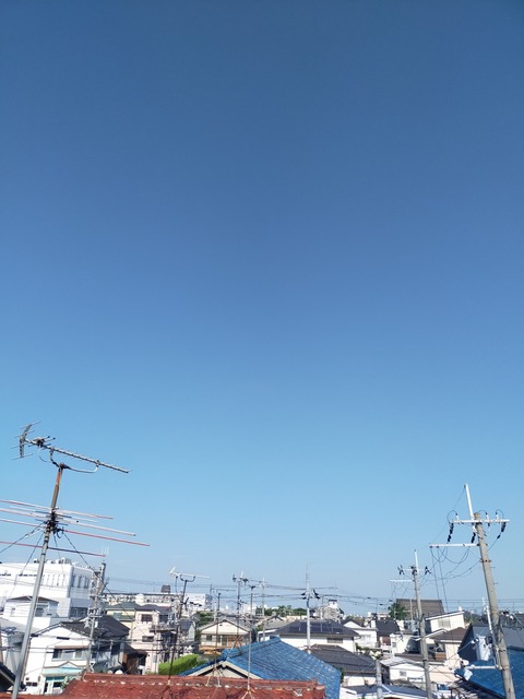 IMG20220702072322