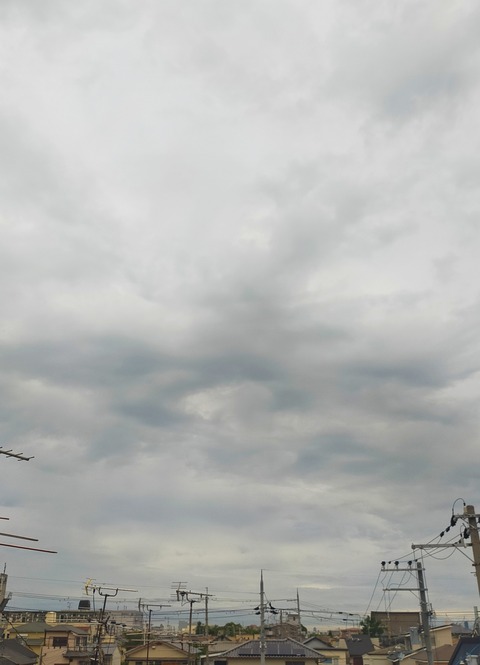 IMG_20260527_061248