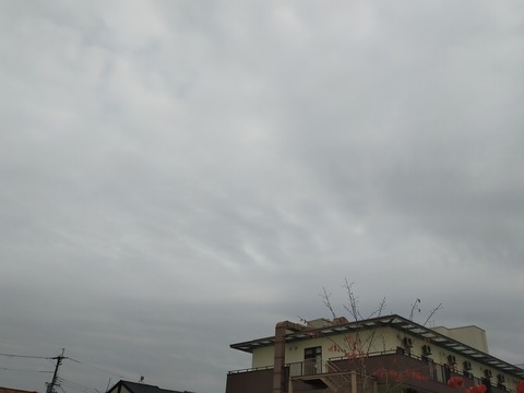 IMG20201028155101