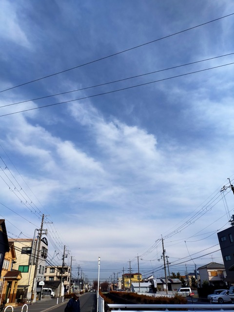 IMG20230201094634
