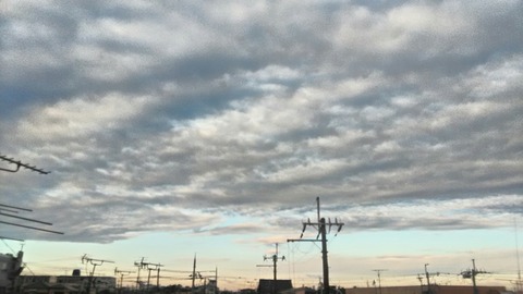 P_20200118_075942_HDR