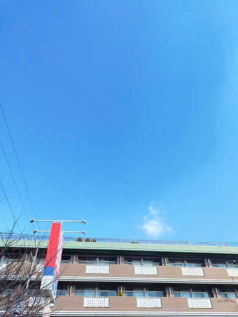 IMG_20250225_100843