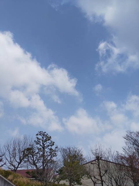 IMG20210315101759