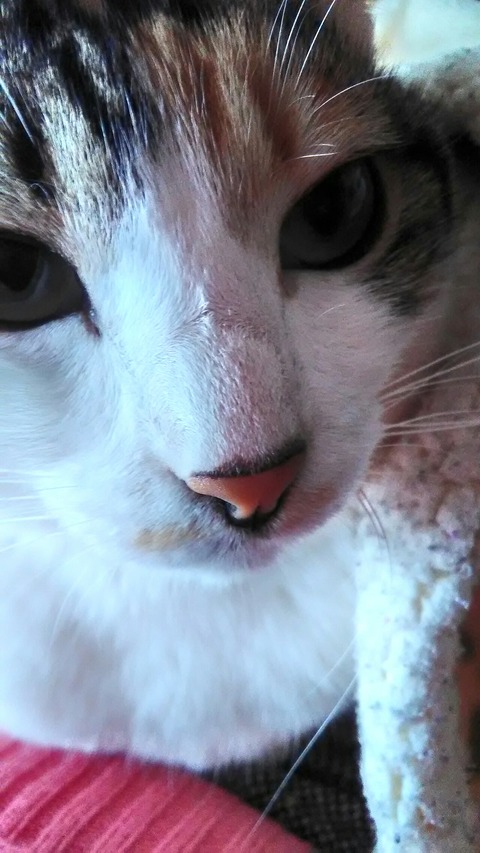 P_20200117_110333_HDR