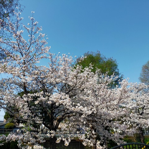 IMG20260403095202