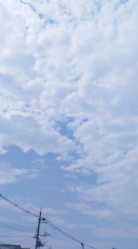 IMG_20250708_093450