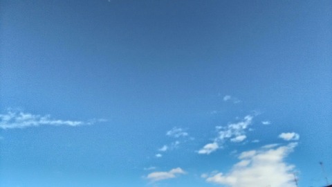 P_20200128_100721_HDR