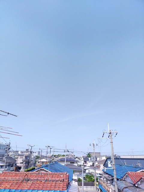 IMG20220428092153