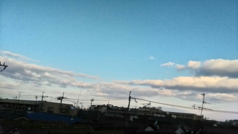 P_20200121_081103_HDR