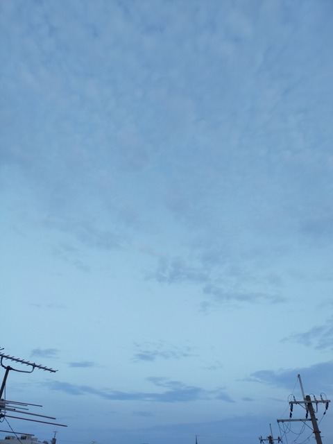 IMG20230506050246