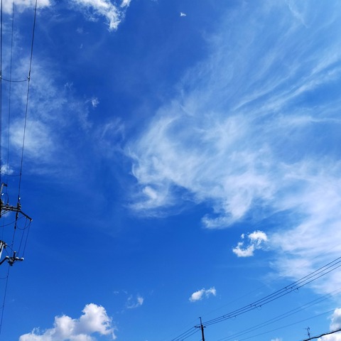 IMG20260509094056