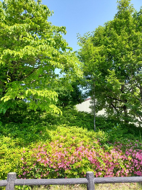 IMG20220529092518