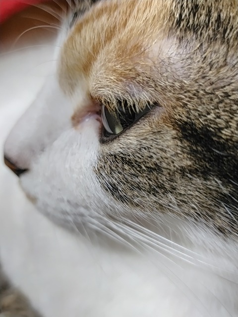 IMG20201028172453