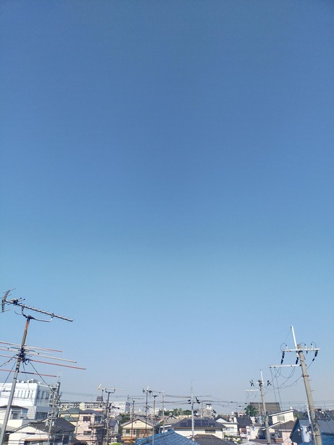 IMG20220602073031