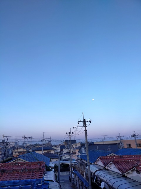 IMG20221210065957