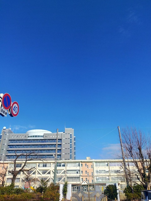 IMG_20250104_102307