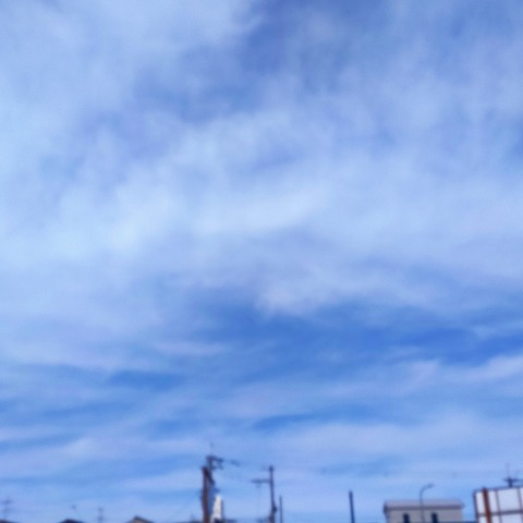 IMG_20260405_093723