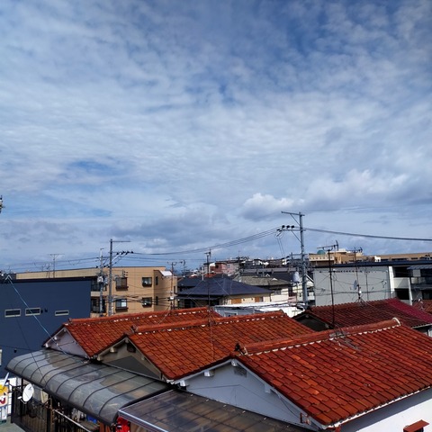 IMG20260504091604