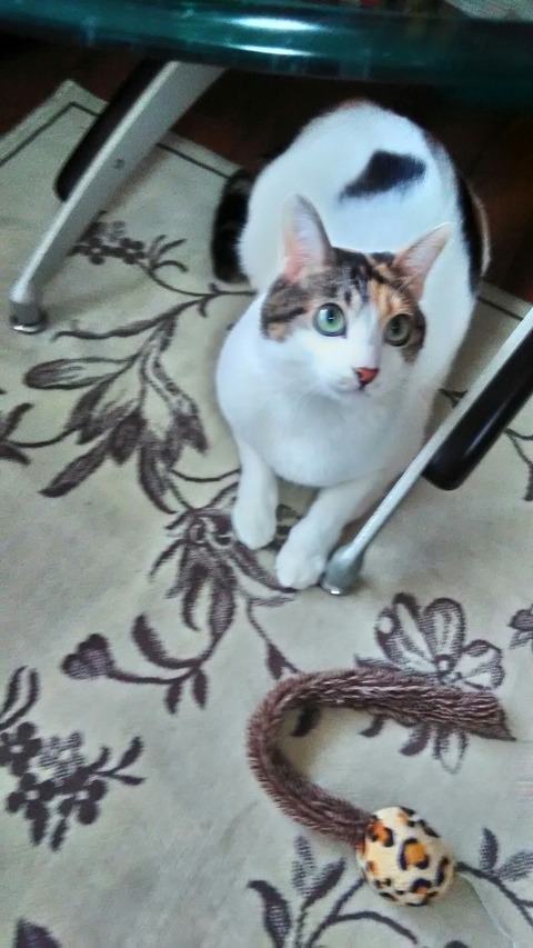 P_20200120_115533_HDR