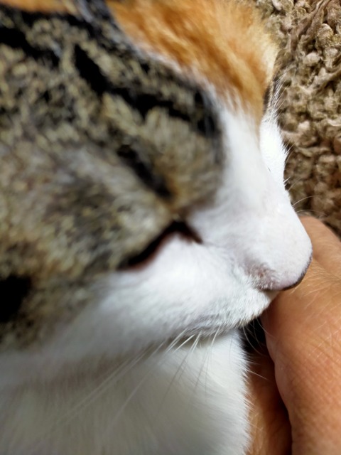 IMG20201001000859