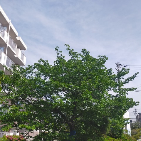 IMG20260428092453