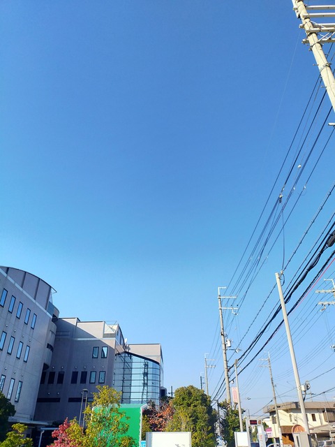 IMG20241203092740