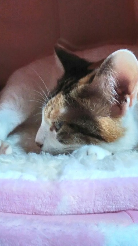 P_20200127_195314_HDR