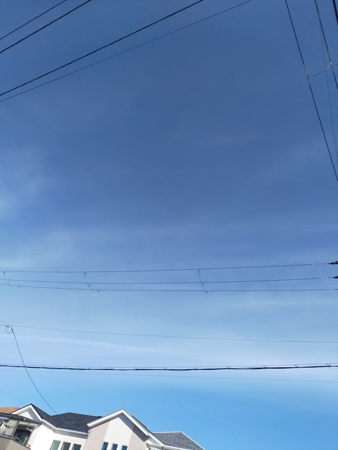 IMG20210225094603