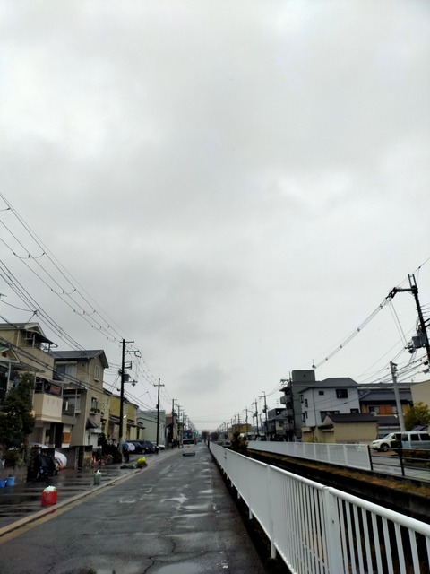 IMG20230127094545
