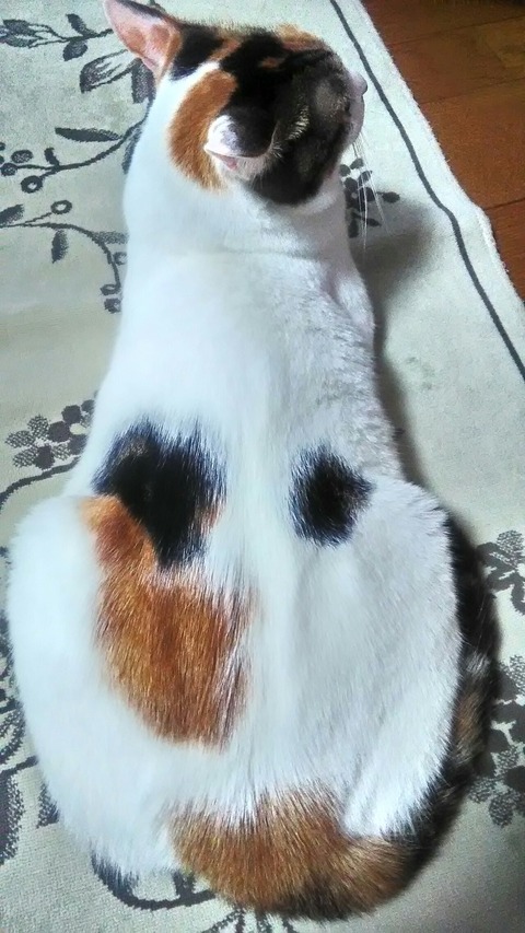 P_20191222_090913_HDR