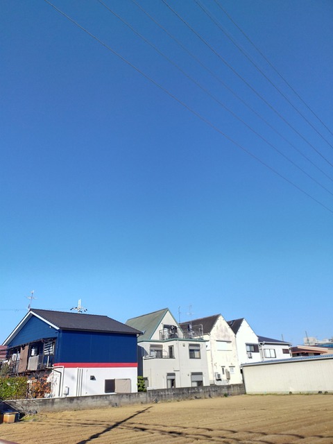 IMG20211128091341