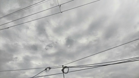 P_20200124_112424_HDR