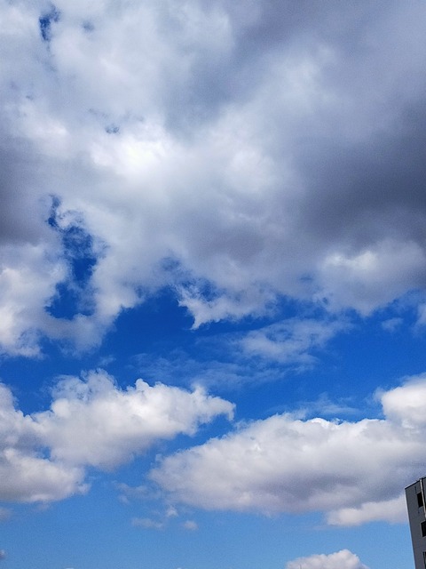 IMG20230303095808