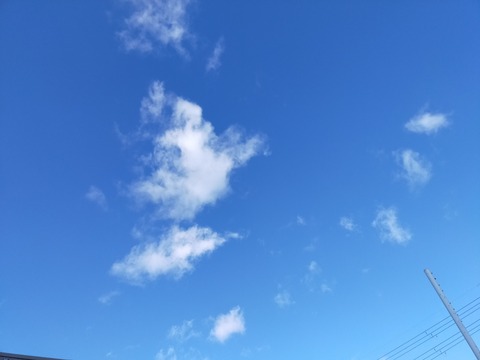 IMG20201123094039