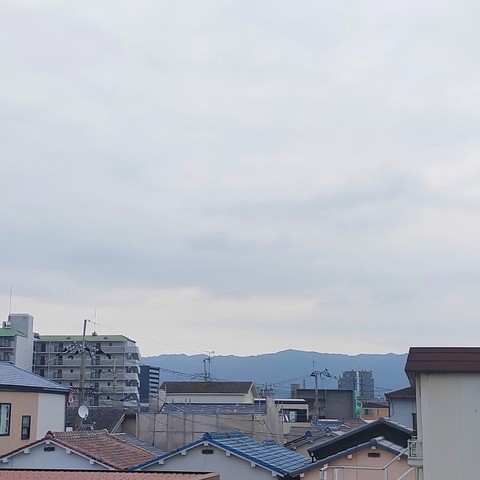 IMG_20260713_081956