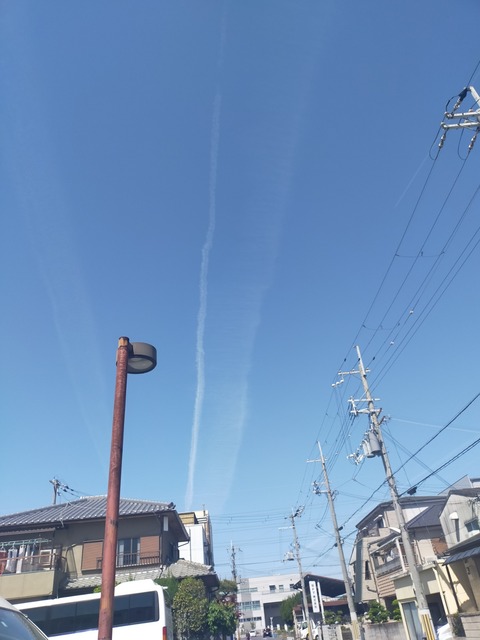 IMG20230423094154