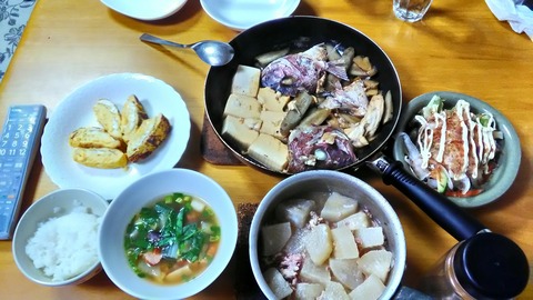 P_20191128_202909_HDR