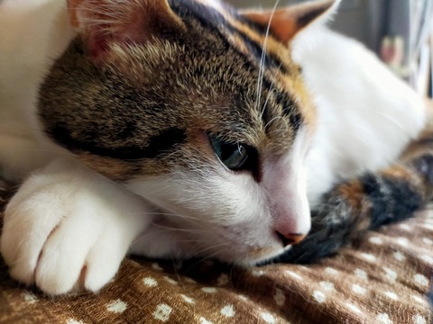 IMG20200727064631