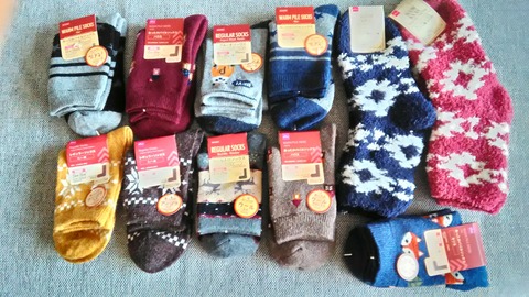 P_20191129_100648_HDR