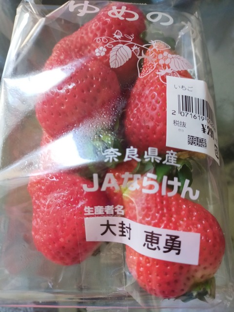 IMG20210225104157
