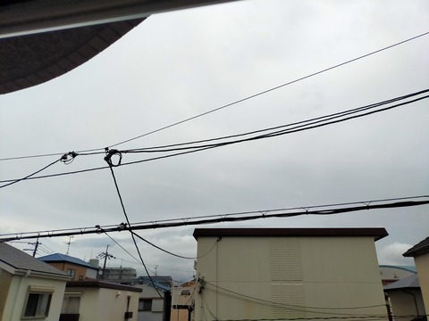 IMG20200728173934
