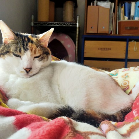 IMG20250422123202