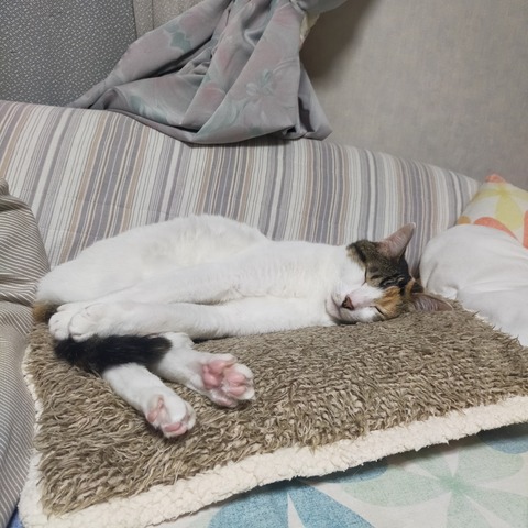 IMG20260605202025