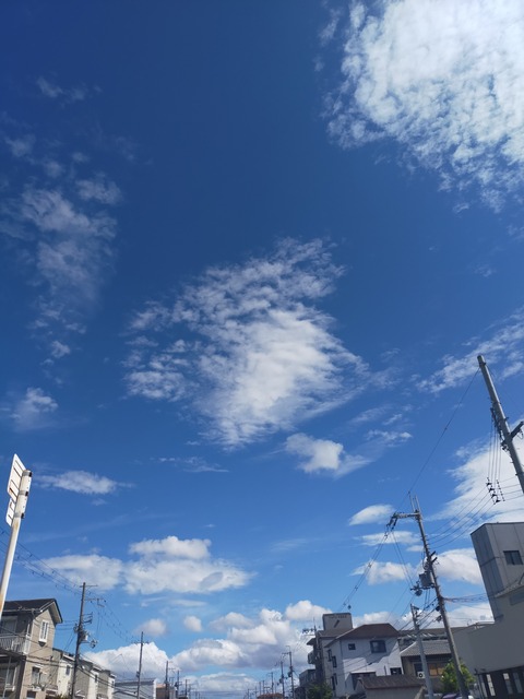 IMG20230822091207