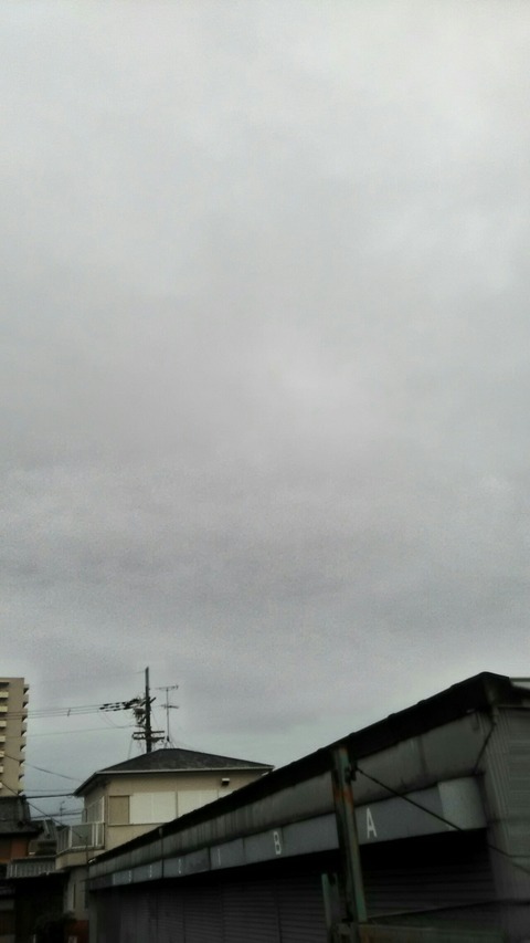 P_20200123_095830_HDR