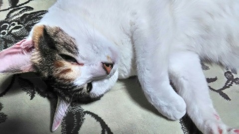 P_20200123_231351_HDR