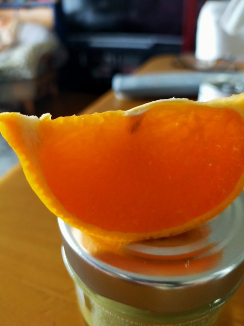 IMG20230308155737
