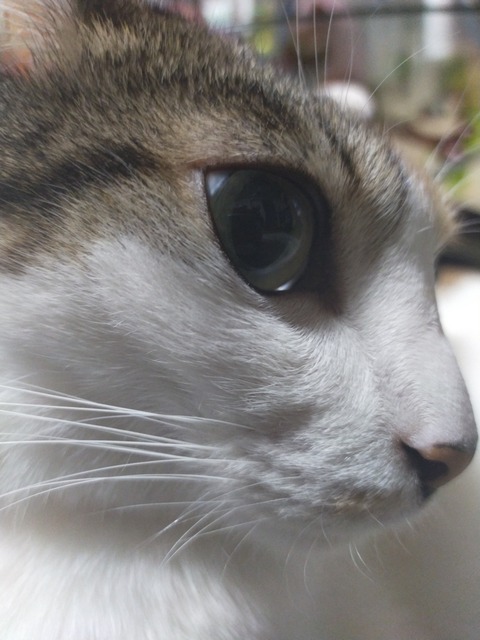 IMG20210128064348