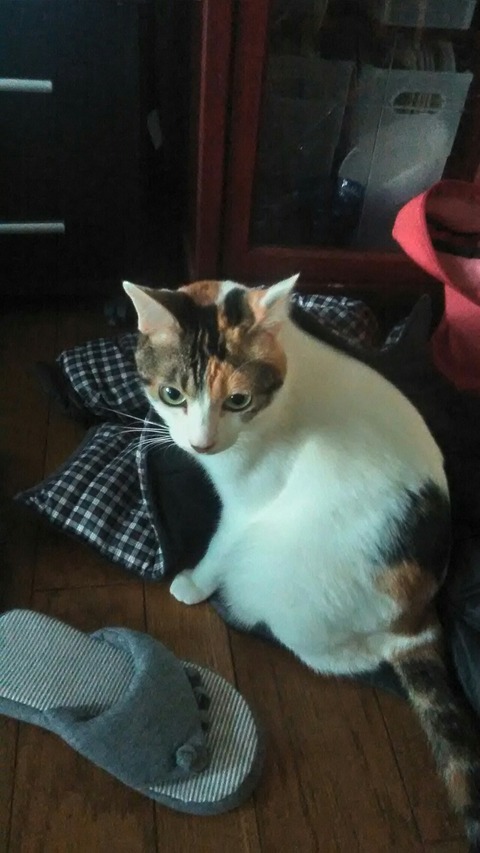 P_20191223_150923_HDR