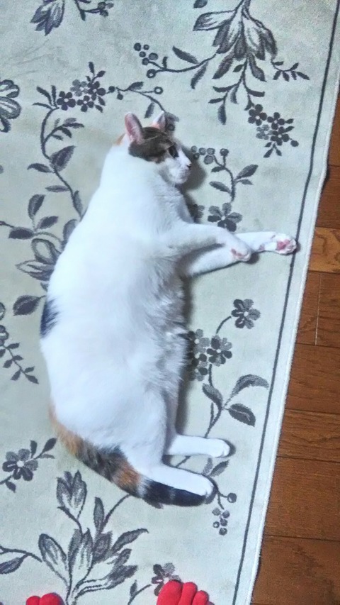 P_20191222_084908_HDR